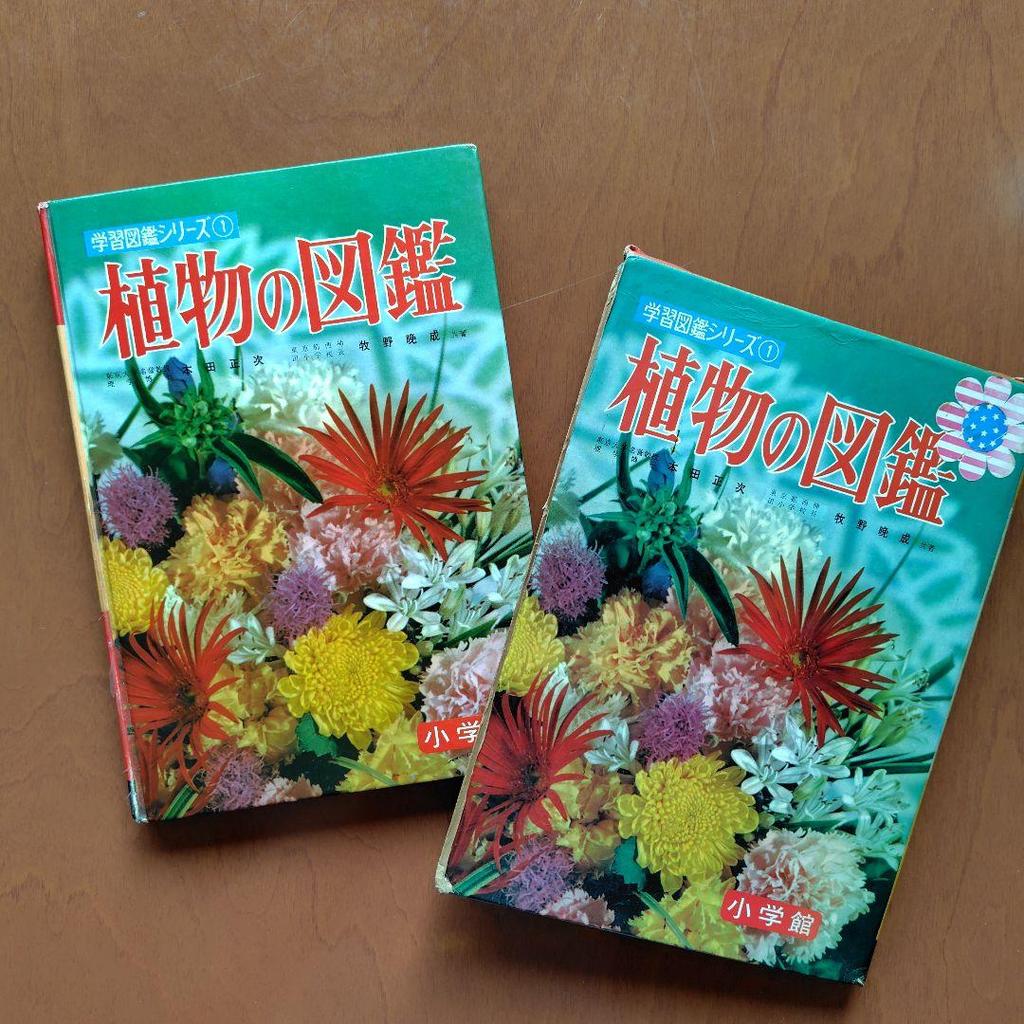 [USED] Shogakukan Learning Picture Book Series & New Learning Picture Book Series 3-Book Set