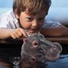 Hippo Head Resin Ornaments For Outdoor Garden Courtyard Pond Fish Tank Decoration