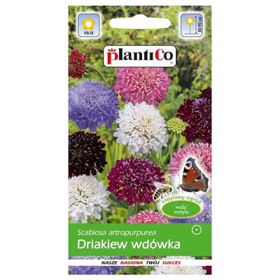 Drakiew wdówka směs semen květů 0,5g na zahradu