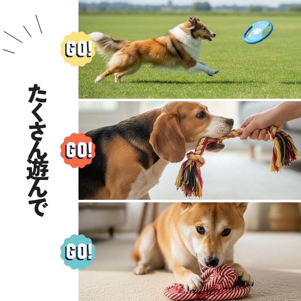 PetGround Dog Toy Suitable for and Large Includes Teething Educational Chew and Cat Toy 10-Piece Set, Durable, Small, Medium, Dogs, Rope, Ball,
