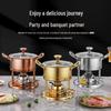 Portable Stainless Steel Single Hot Pot Gas Stove for One-Person Shabu-Shabu Cooking.