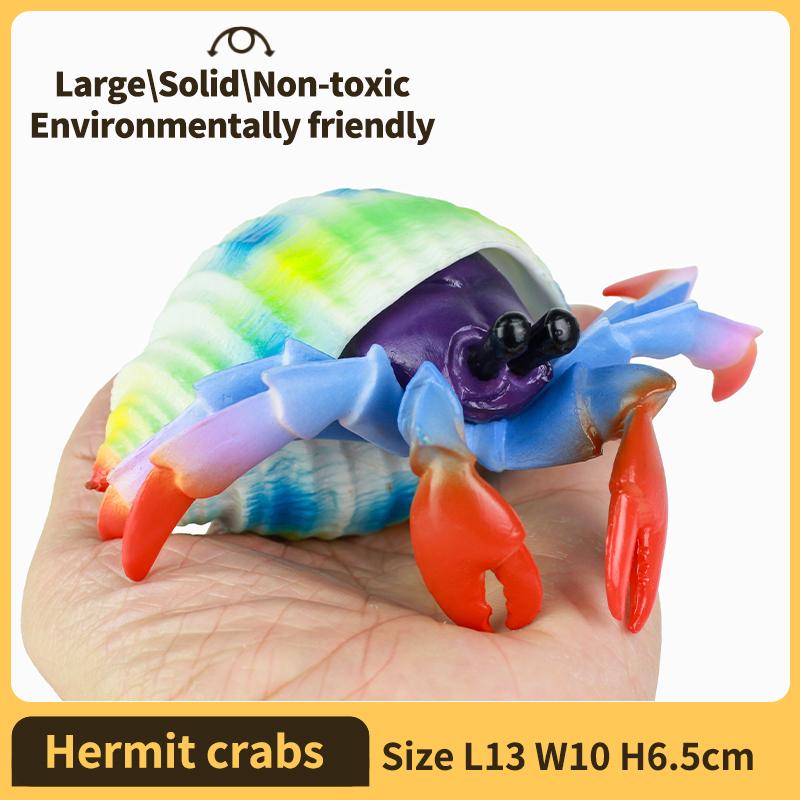 Hermit Crab Figurine Sea Life Animals Model Figure Educational Toy Boys Girls Kids Ages 18M for and Kid Friendly Entertaining Fun Play Safe