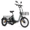 Cysum AG1 Pro Electric Tricycle For Adult 750W Motor 48V 20AH Battery F 20×2.1 / R 16×3.0 KENDA Tire Electric Tricycle