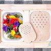 Children's Wooden Sensory Tray Game: Parent-Child Interactive Early Learning Toy