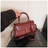 IELGY Retro Autumn Winter All-Match Fashion Simple Shoulder Messenger Bag Women's Portable Small Square Bag