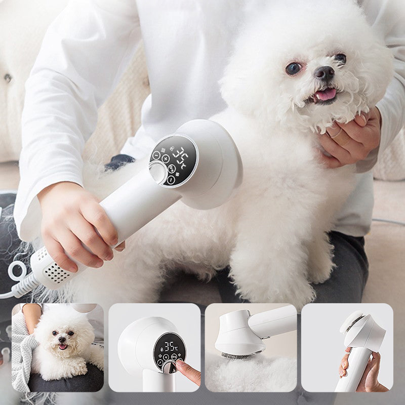 2-in-1 Low Noise Pet Hair Dryer with Comb Brush Slicker Brush Pet Products Pet Hair Dryer with Slicker Brush Pet Cleaning Suppli