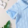 Toddler Boys Summer Lapel Short Sleeve Top and Shorts