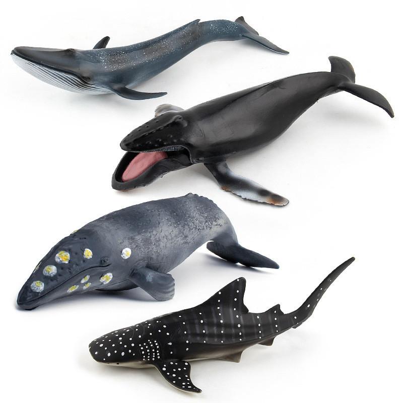 Realistic Blue Whale Pvc Marine Animal Figures For Educational Toys And Display