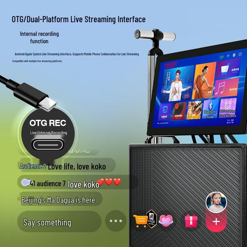 MALONE Portable KTV Speaker with Video Display CN Plug (adapter Included)