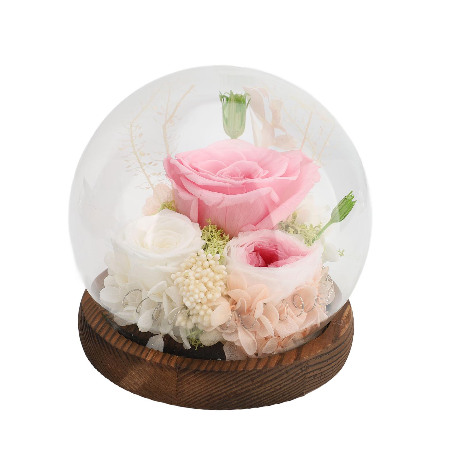 

Вечный цветок в стеклянном куполе Изысканный романтический светодиодный светильник с стабилизированным цветком в стеклянном куполе Тип 5 розовый