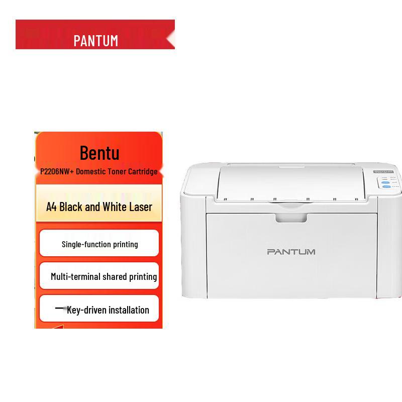 

Pantum P2206NW Wireless Black & White Laser Printer CN plug (adapter included)