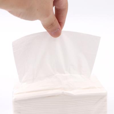 Cuidado del coche – Esponjas, trapos y cepillos