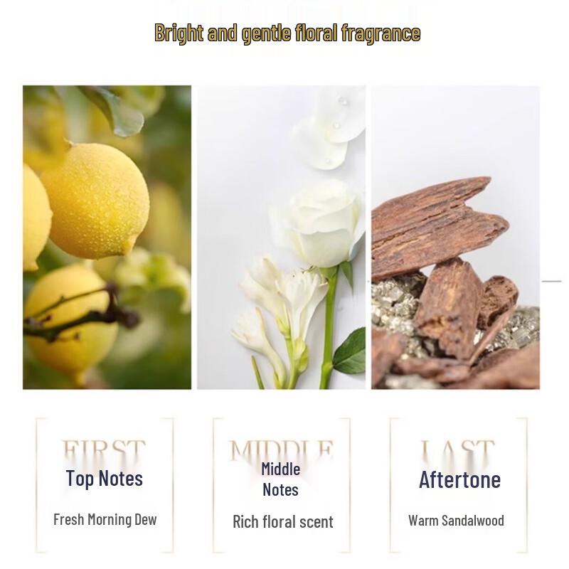 Dove Silky Smooth Amino Acid Shampoo