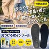 [Official] [Lost Child Prevention] [Magazine Featured Items] Tsurugi-kun Insole with
