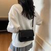 Premium Sense Small Square Bag Women's 2025 New Trendy Korean Version Wide Shoulder Strap Shoulder Bag Fashionable Versatile Messenger Bag