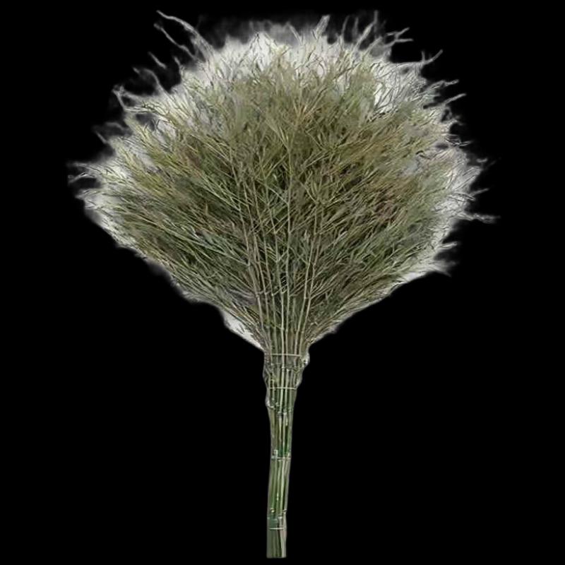 Miaoguagua Integrated Bamboo Broom