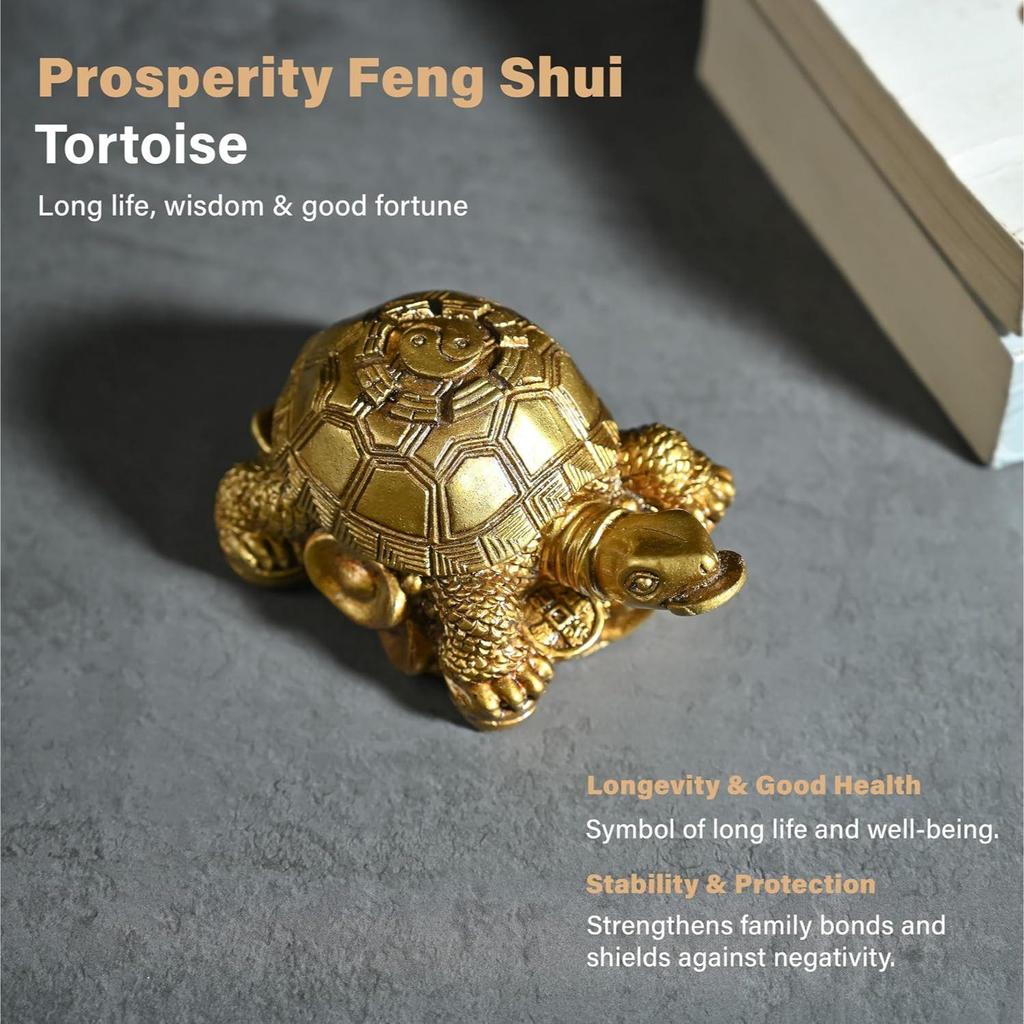 HindCraft Vastu Item | Feng Shui Golden Turtle with Coins | Good Luck Symbol