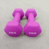 Hexagonal PVC Coated Dumbbells for Home Use