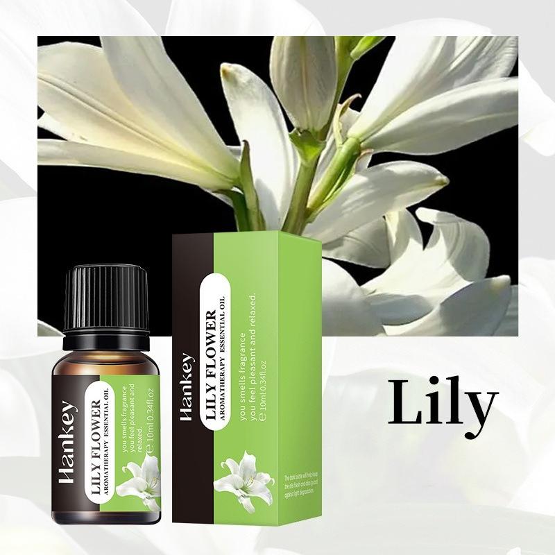 Aromatherapy Essential Oil Indoor Lasting Fragrance Air Fresh Water Soluble Aromatherapy Plant Essential Oil 10ml