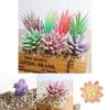 Vividly Colored Mini Artificial Succulents To Brighten Up Any Living Space