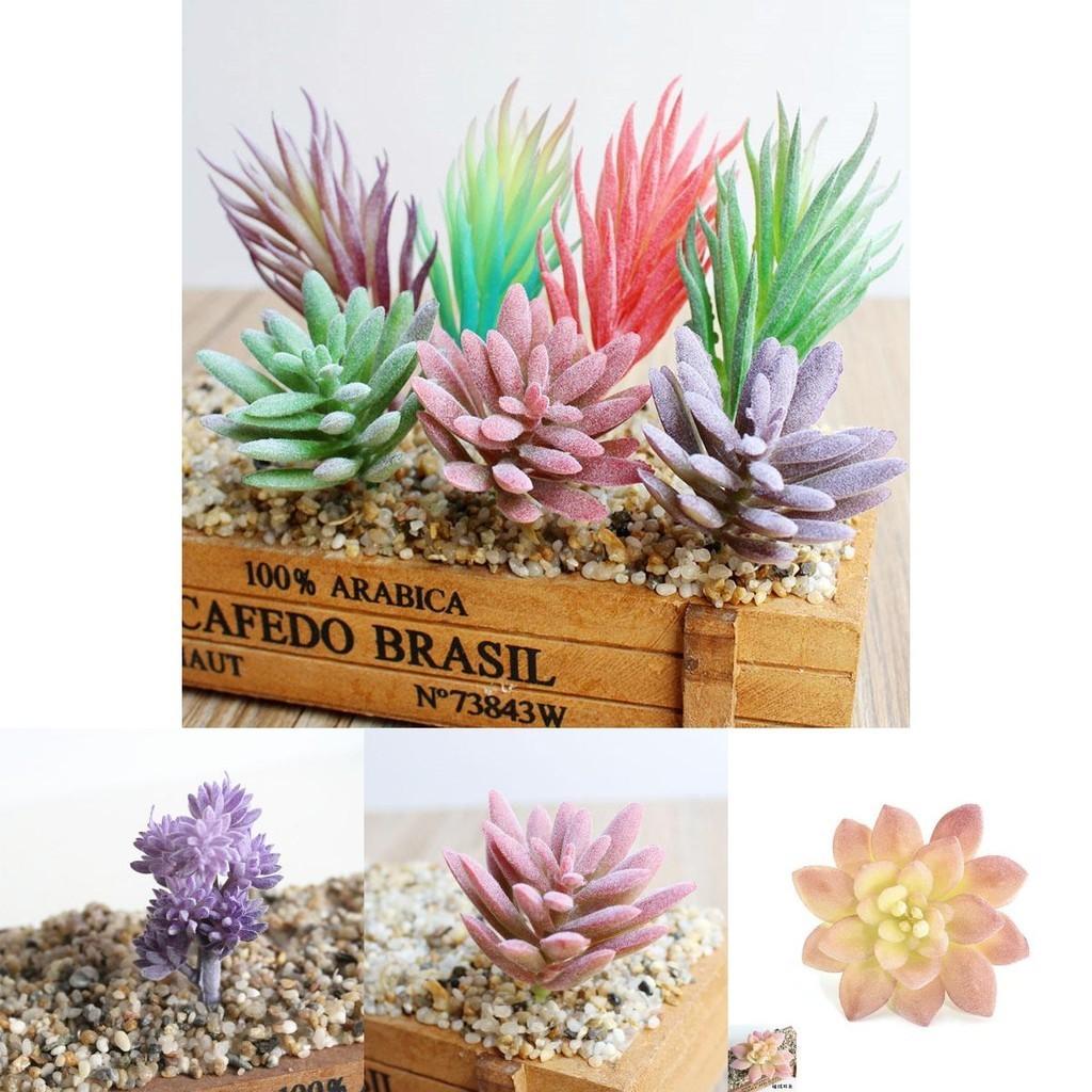 Vividly Colored Mini Artificial Succulents To Brighten Up Any Living Space