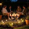 Bellflower Flower Flowers Solar Garden Light Realistic Solar Artificial Flower Light  Outdoor