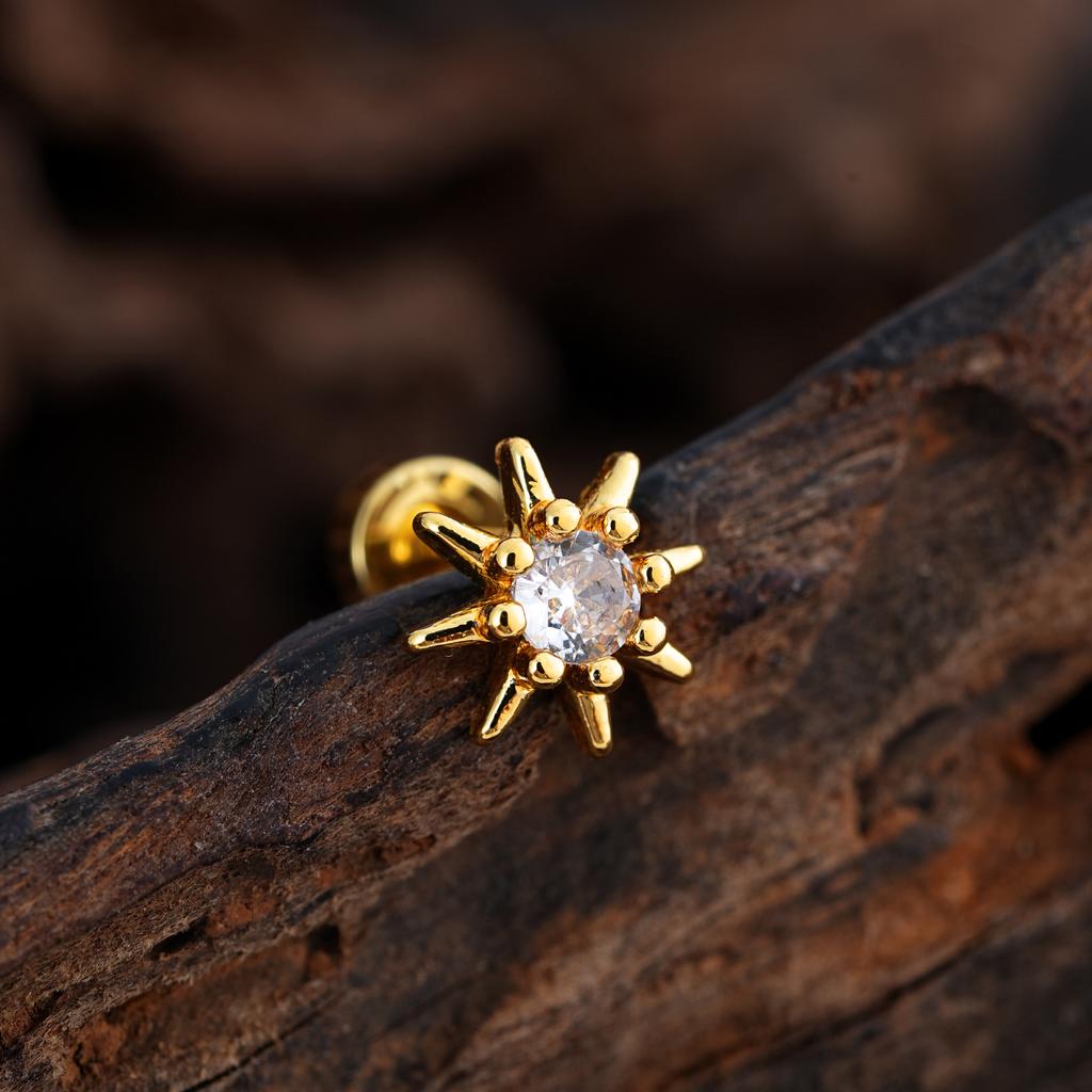 Women Girls' Hypoallergenic Stainless Steel Earrings Butterfly Moon-Style Ear Studs Screw Back Helix Cartilage Tragus Lobe