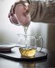 Japanese Thickened Transparent Gongdao Cup: Glass Side-Handle Serving Pitcher for Kung Fu Tea