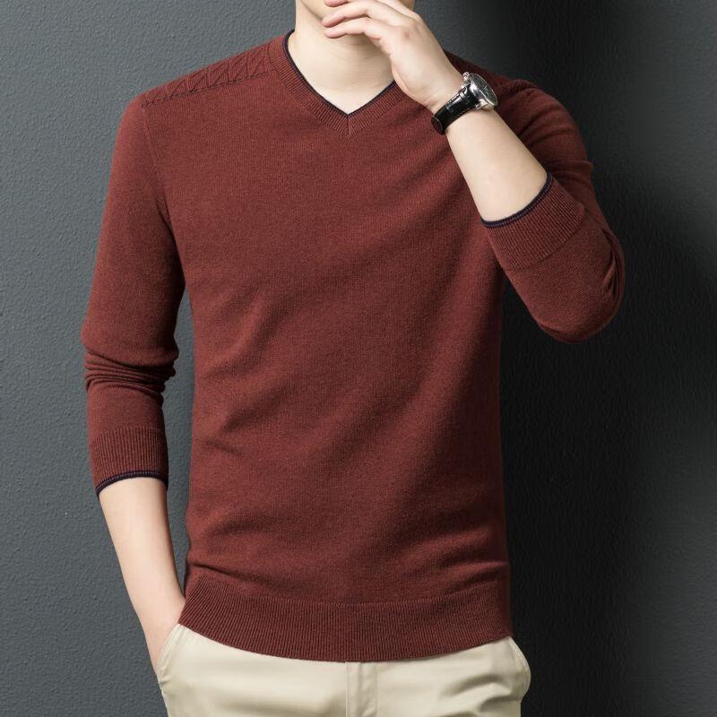 Men's 100% Pure Wool V-Neck Sweater