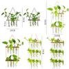 Retro Wood Frame Vase Wall Hanging Transparent Glass Vase Glass Planter Plant Vase  Office