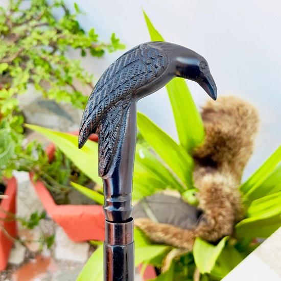 Walking Stick Cane, Raven Crow Handle walking stick cane, Handcrafted Wooden cane, Birthday gift, Christmas gift