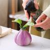 Cute Onion Vase Creative Flower Pot Flower Arrangement Container Hydroponic Flower Holder  Home