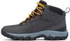 Hiking Shoes Newton Ridge Omni Heat II (2056191-089) Dark Grey/raw Honey