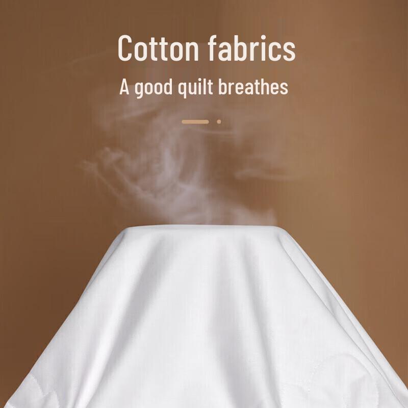 FUANNA Silk Two-in-One Duvet