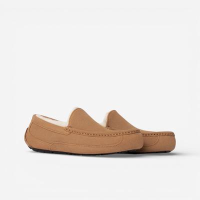 Ascot Slipper Chestnut