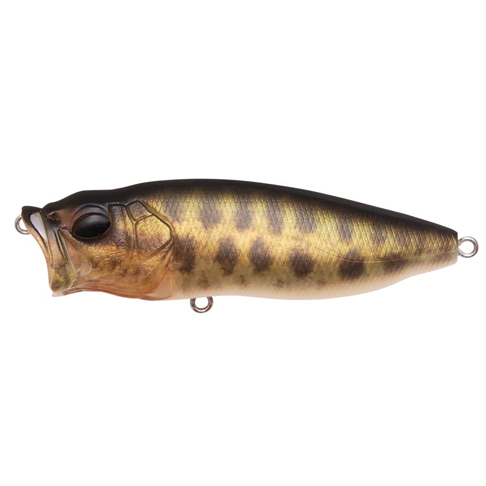 

Megabass POPMAX FA Baby Snakehead