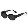 Retro Oval European & American UV-Protection Street-Style Sleek Sunglasses
