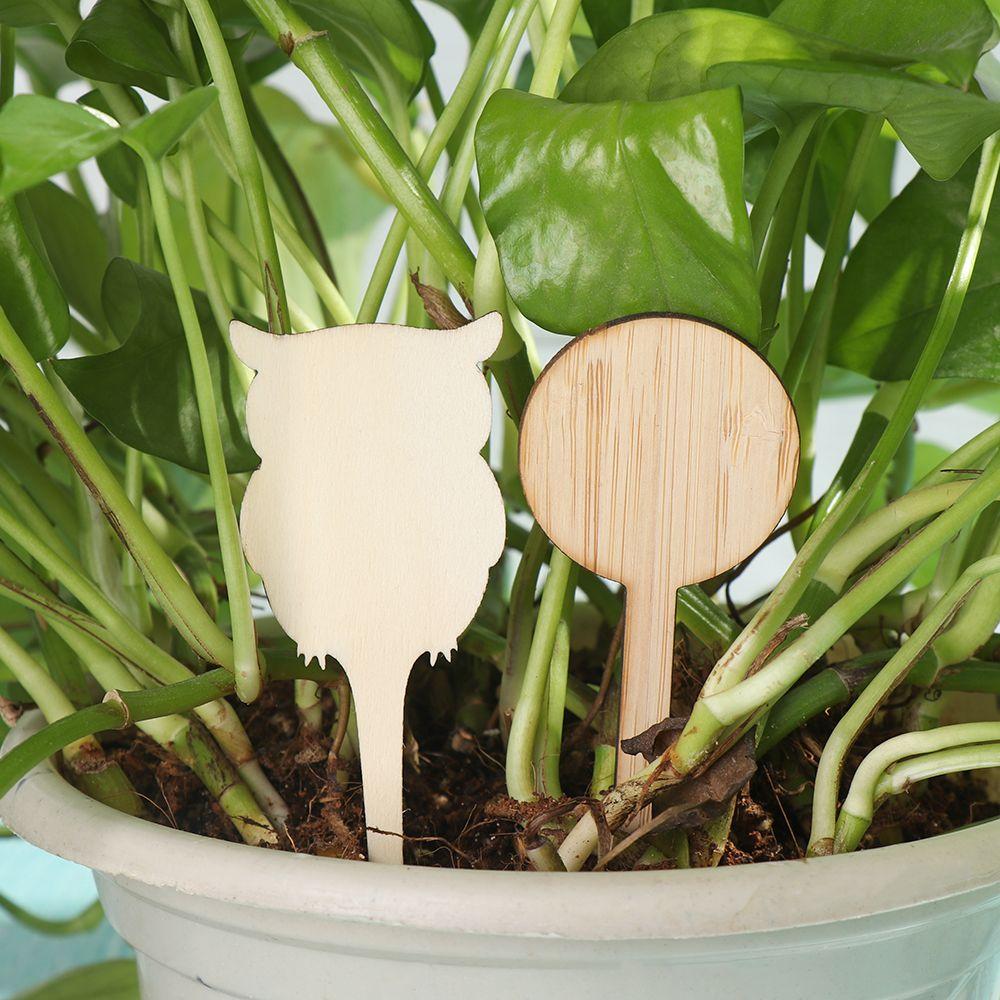 10PCS Eco-Friendly Bonsai Ornament Nursery Pots Wood Sign Tags Bamboo Plant Labels Garden Markers Planting Tools