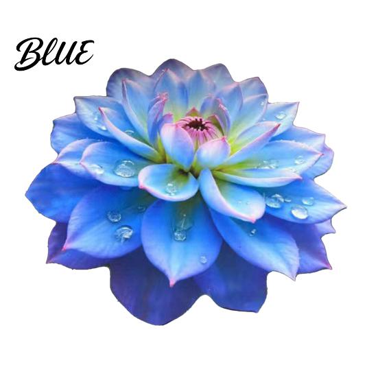 Three-dimensional Design Rug Pattern Area Realistic Absorbent Floor Mat 3D Flower Carpet Non-Slip Decorative