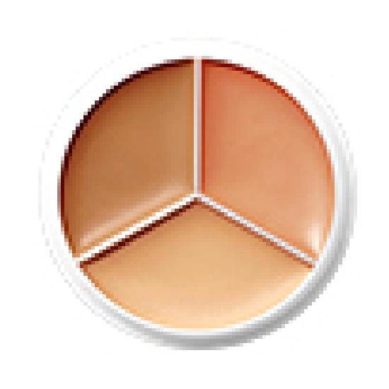 TFIT Cover Up Pro Concealer 7 Colors (Single Product/Planned)