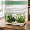 Acquario di Plastica da 2 Galloni con Foro di Scarico - 30x19x17cm Acquario Rettangolare Piccolo Antirottura per Pesci Betta & Guppy - Terrario Trasparente da Scrivania