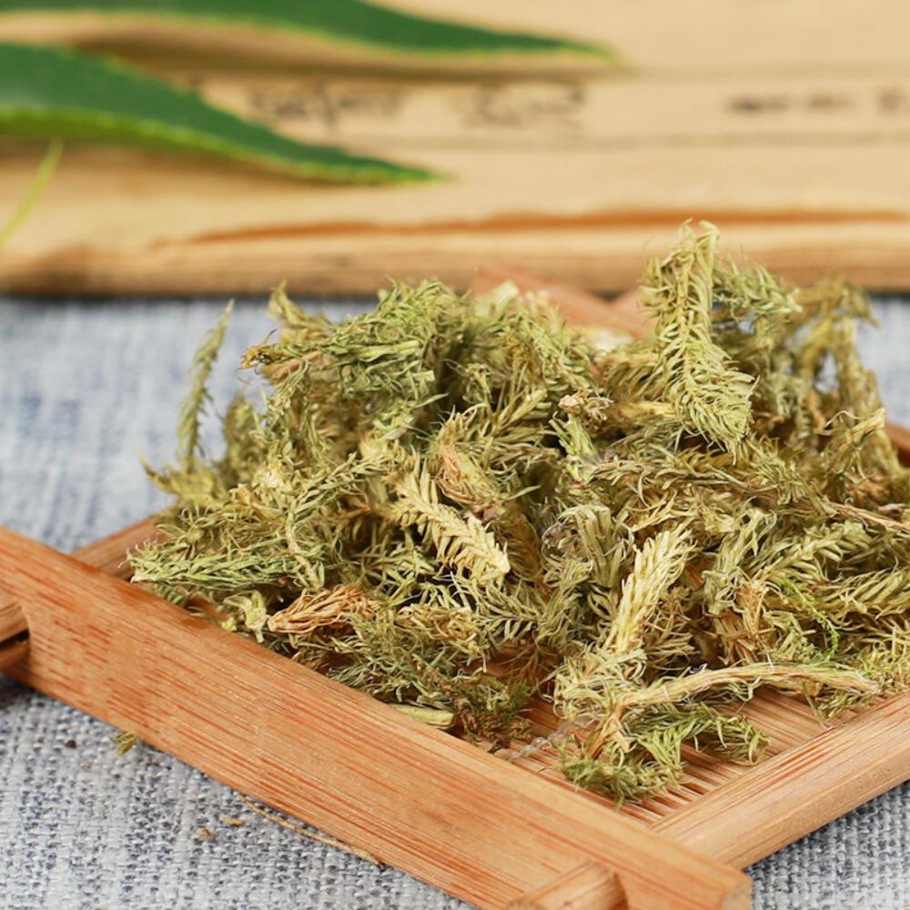 500g Chinese Shenjincao Herbal Tea Lycopodium Joint Care Drink