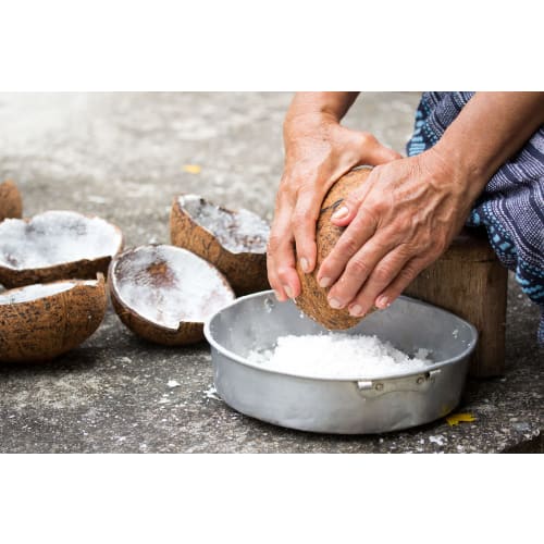 Mooninja Coconut Grater Scraper Shredder Blade Head Manual Kitchen Stainless Steel with 3 Screws