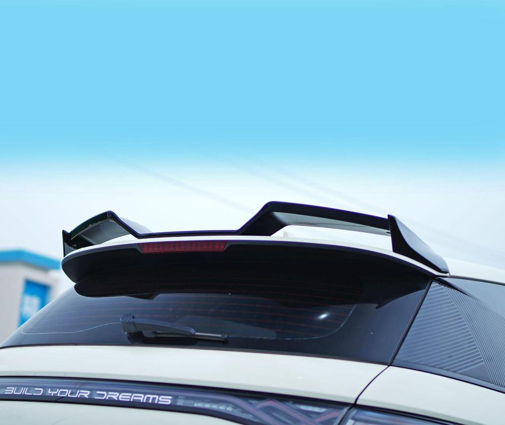 Compatibile con i modelli BYD Dolphin DC 2021-2024: spoiler posteriore, kit carrozzeria ad ali di gabbiano, diffusore posteriore, splitter anteriore, lip anteriore e minigonne laterali.