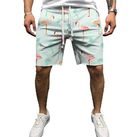 European And American Men'S Summer New 3D Printed Drawstring Loose Sports Shorts Men'S Beach Pants