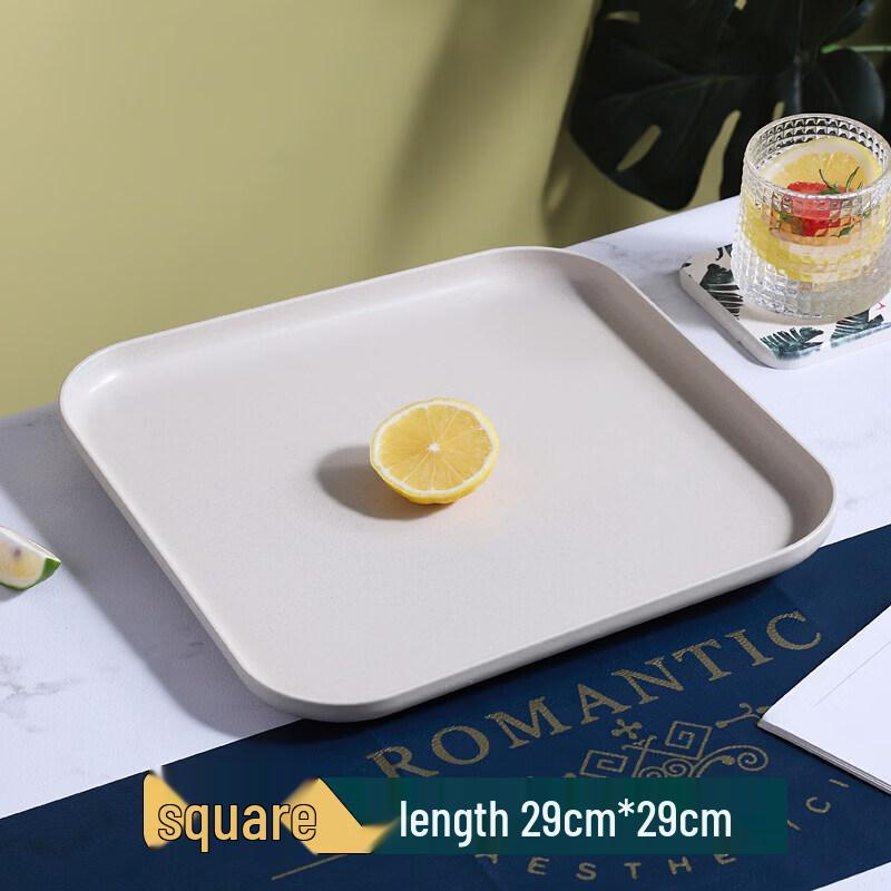 Nordic Ins Style Plastic Serving Tray