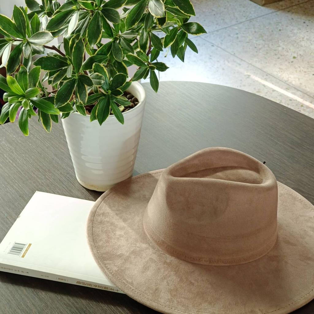 LIDHAY Western Style Suede Hat, Unisex Wide Brim Fedora Hat, Felt Panama Hat, Rancher Hat LIDHAY Western Style Suede Hat, Unisex