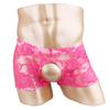 Men Sheer Lace Boxer Shorts Open Front Back See Through Pants Underwear