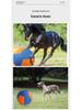 Mustang Ball: Durable, Bite-Resistant Teething Toy for Golden Retrievers
