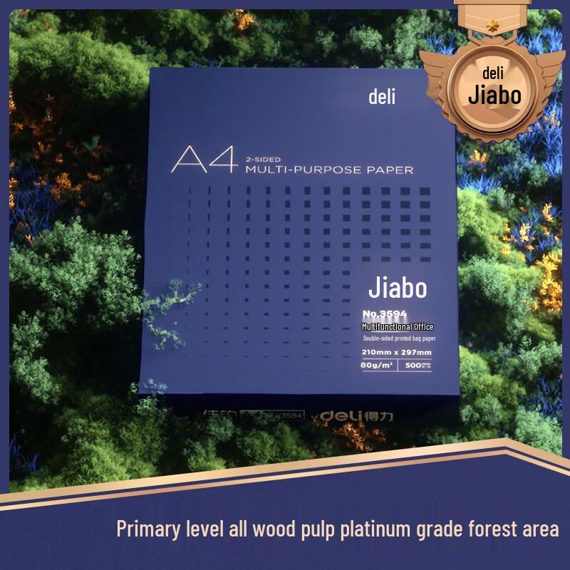 Deli A4 80g Premium Printer Paper